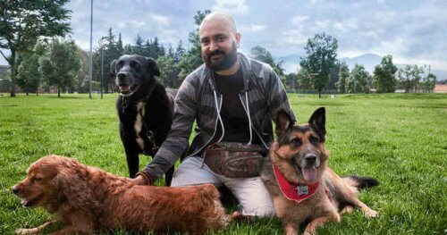 Andrés Carrión, o reabilitador de cães agressivos