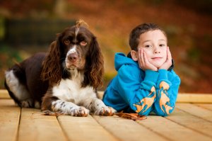 Descubra como os cachorros podem ajudar crianças na sala de aula