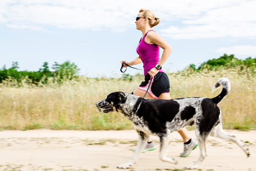Mulher com cão correndo: canicross