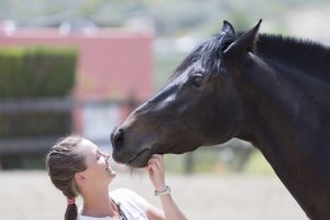 Os cavalos intuem nossas emoções