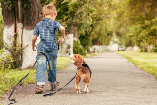 Menino levando cão para passear