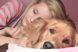 Dormir com o animal de estimação: prós e contras