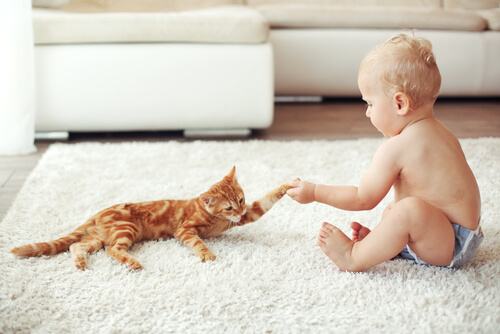 Bebê brincando com gatinho laranja