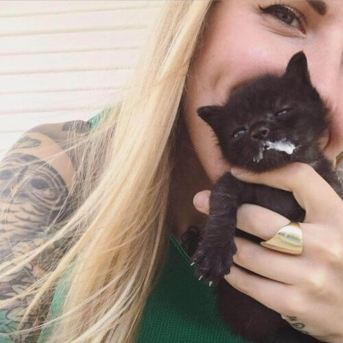 Kitten Lady com um filhote de gato preto