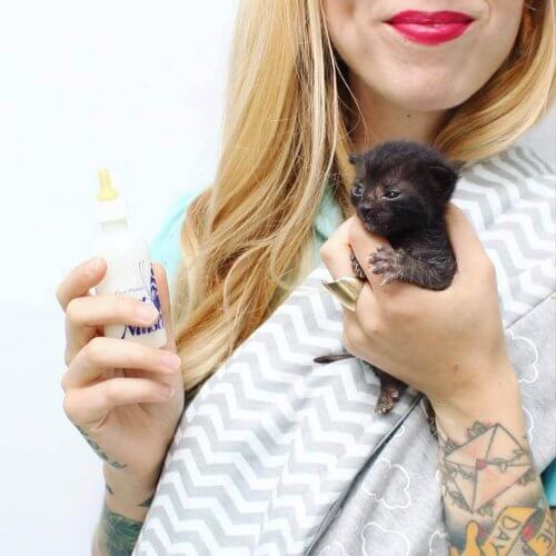 Kitten Lady: a mulher que salva centenas de gatinhos Kitten Lady: a mulher que salva centenas de gatinhos