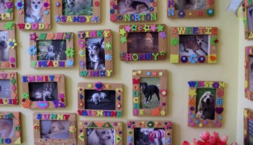 Porta-retratos com fotos de cães idosos da House With a Heart