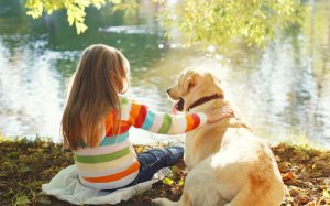6 raças de cães para brincar com crianças