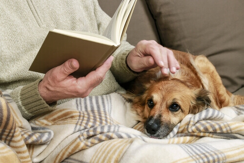 Idoso lendo livro com um cão no colo