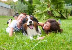 O melhor cão para seus filhos: pequeno ou grande