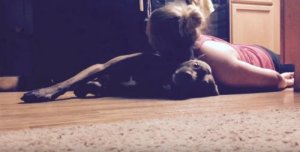 Colt, o cão treinado para ajudar sua dona