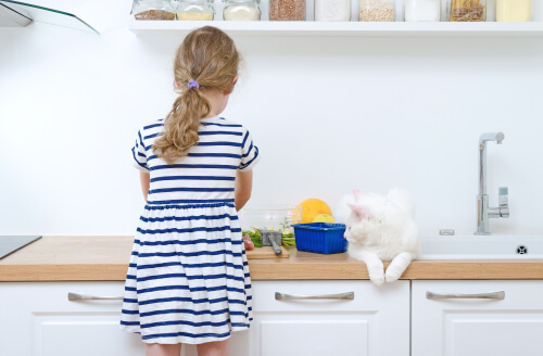 Menina cozinhando com gato branco sobre o balcão