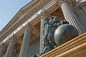 Seres vivos legalmente: vitória dos animais