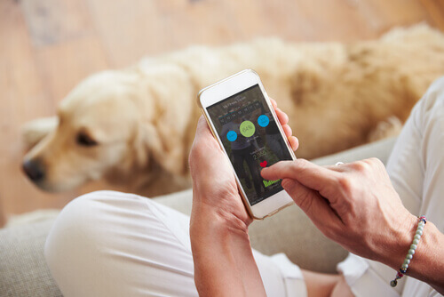 Apps para seu cão