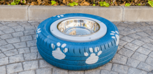 Como fazer um bebedouro para cães?