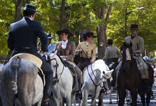 Cavalo de raça pura espanhola ou cavalo andaluz