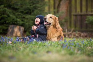 Raças de cães ideais para crianças