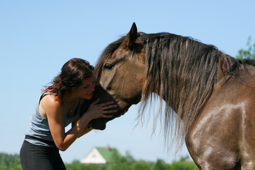 Mulher abraçando cavalo