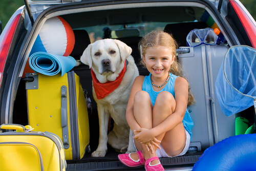 Cachorro e menina na mala de um carro