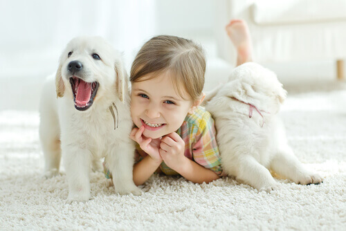 O que faço se meu filho quer um animal de estimação? O que faço se meu filho quer um animal de estimação?