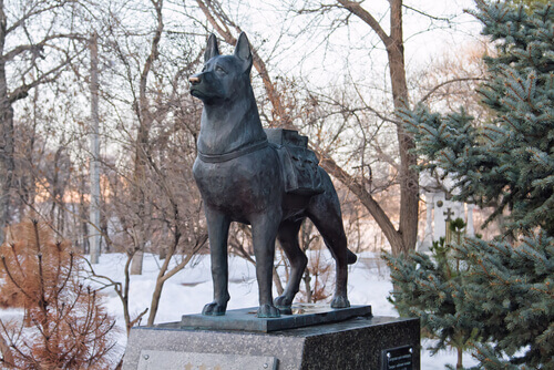 Estátua em homenagem a um cão de busca e salvamento