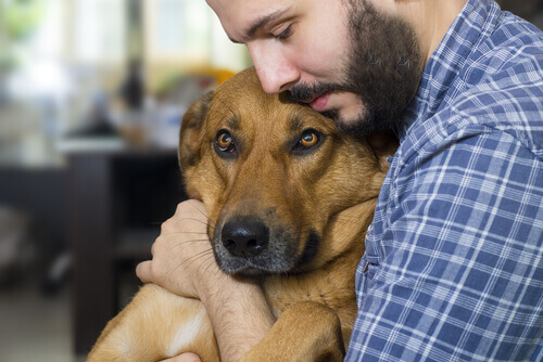 Homem abraçando seu cachorro