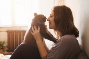 A chegada de um gatinho em casa: do que você precisa?