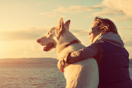 Dona abraçada com seu cachorro durante o pôr do sol