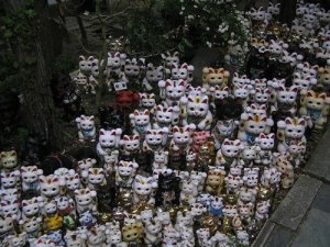 Gato da sorte: de onde vem essa crença?