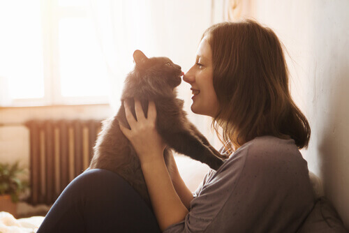 confiança entre gato e dona