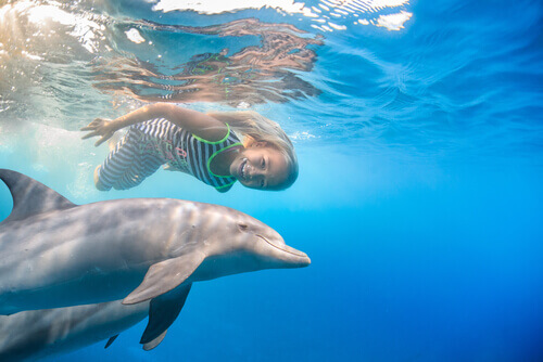 Menina nadando com golfinho