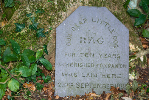 lápide para animais