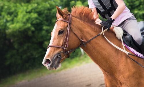 COMO SUBIR NO CAVALO PULANDO 