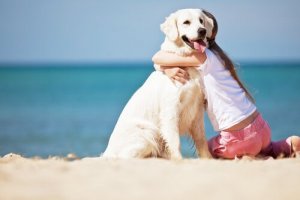 5 coisas que seu cão não quer que você faça