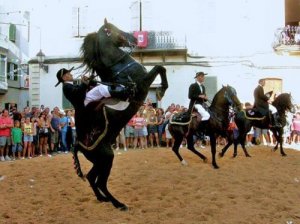 Conheça as raças de cavalo espanholas