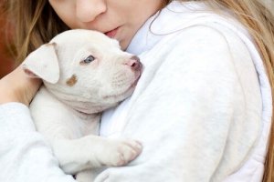 Quem é Temple Grandin?