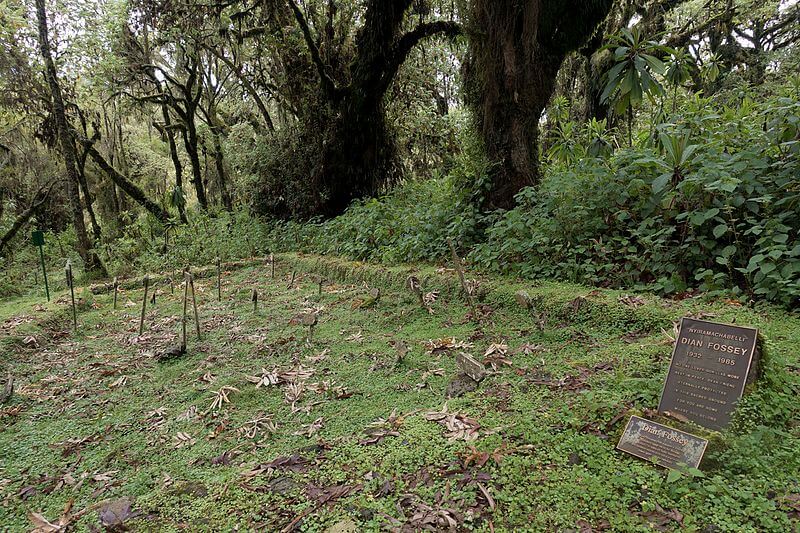 Túmulo de Dian Fossey