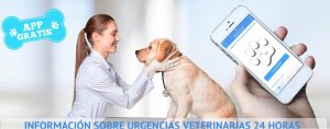 Aplicativo UVI24 para animais de estimação
