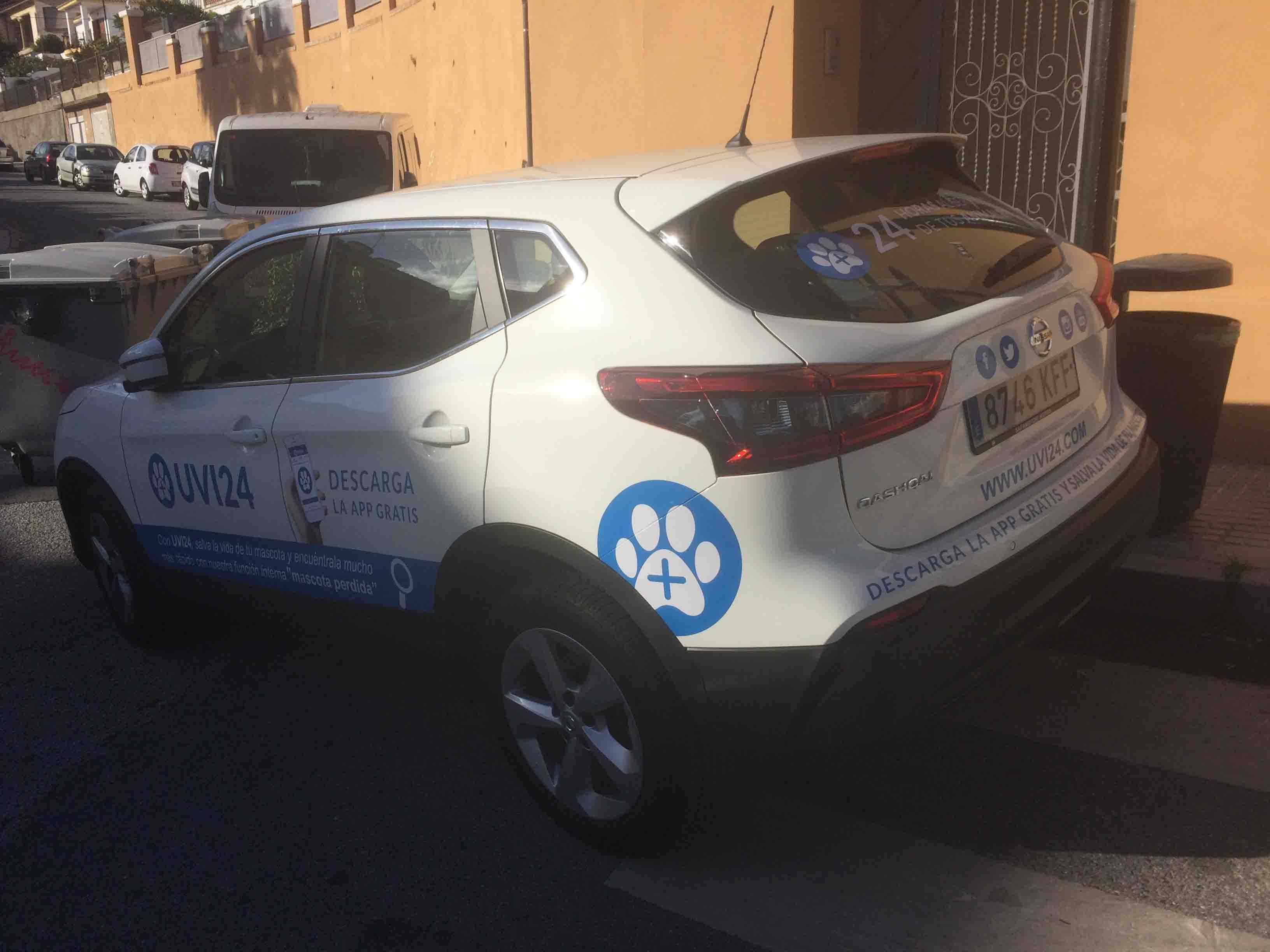 emergência veterinária