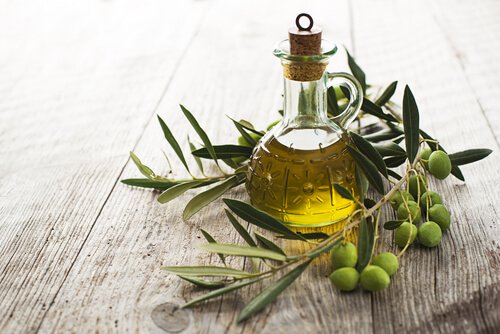 Azeite de oliva para o tratamento da pele canina