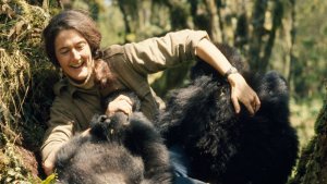 Quem foi Dian Fossey?