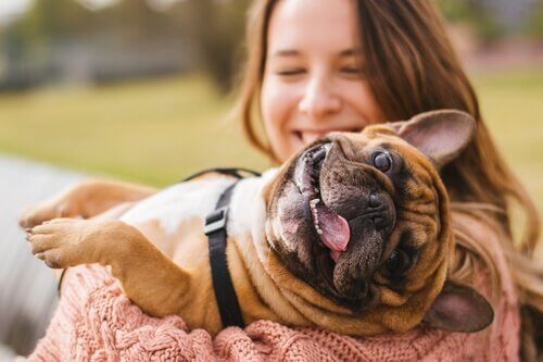 Cachorro feliz no colo da dona