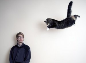 Saiba tudo sobre a agilidade do gato