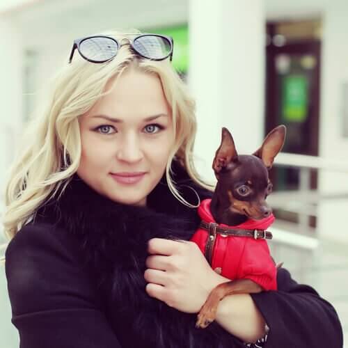 Cão indo as compras