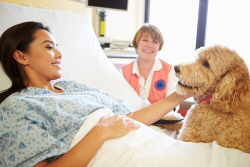 Cachorro visitando paciente no hospital