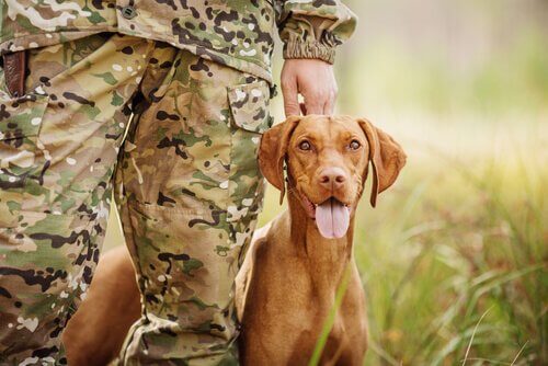 Soldado com cachorro