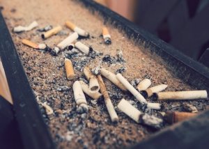Quanto o cigarro afeta os animais de estimação?