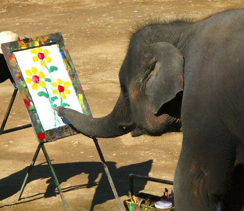 elefante pintando