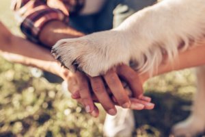 5 maneiras de demonstrar que ama seu cão