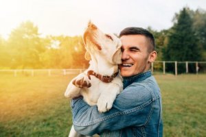 Cão: o melhor amigo do homem