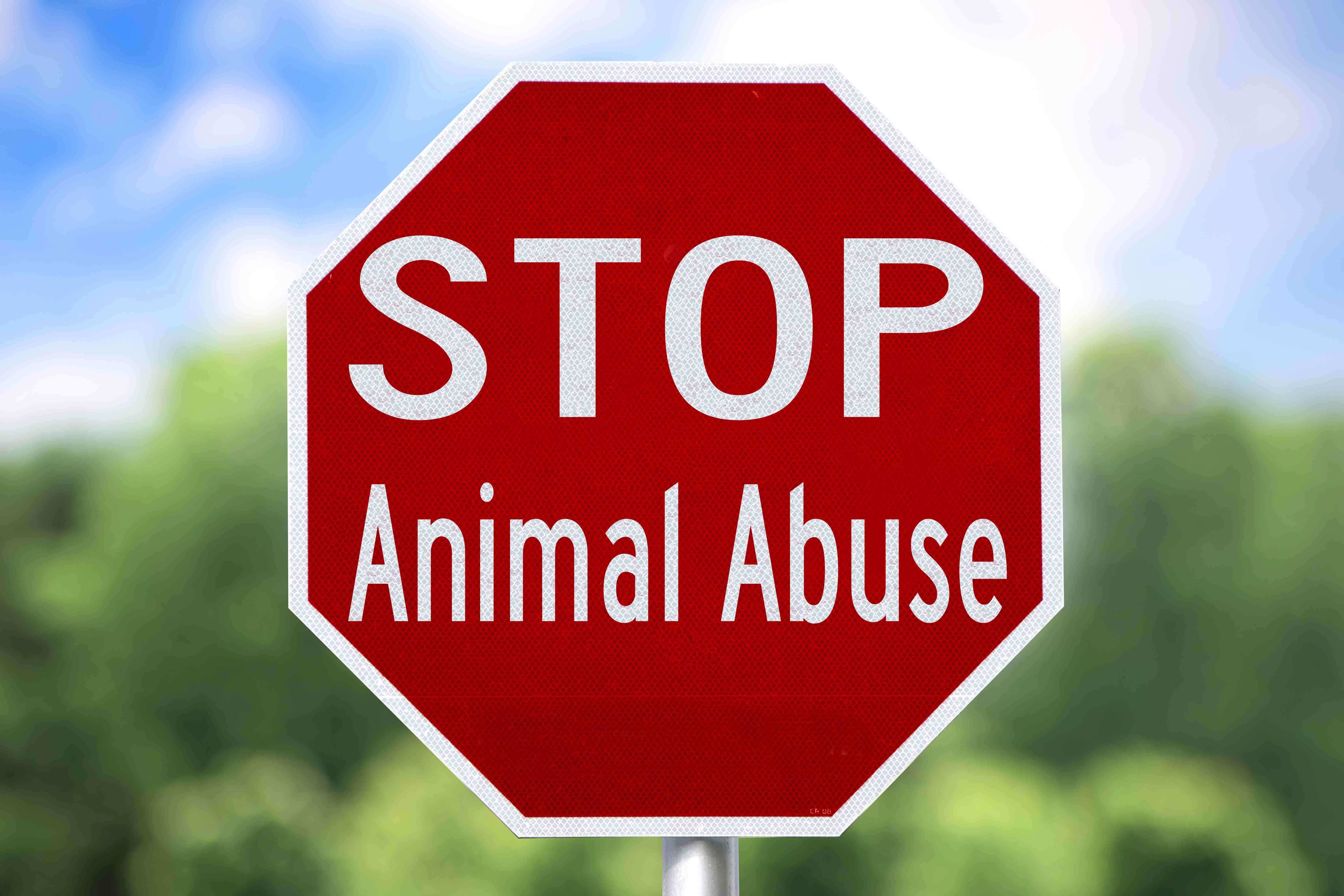 Placa: Pare com os maus-tratos contra animais